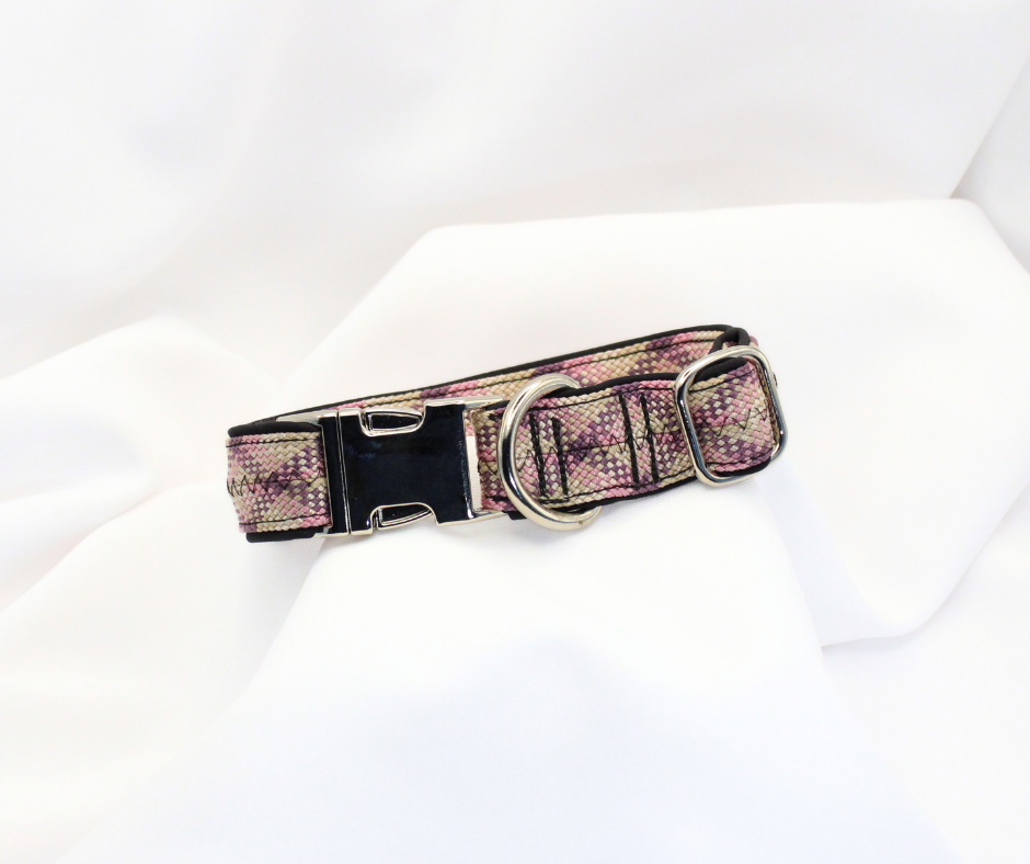 Halsband mit Metallschnalle, 2,5 cm